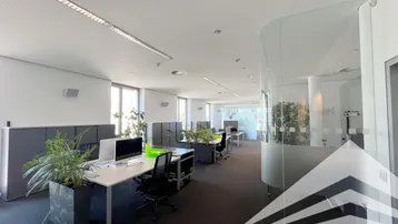 Großraumbüro mit modernen Arbeitsplätzen, Teppichboden und viel Tageslicht durch große Fenster.