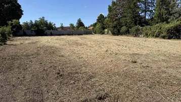 Großes, geräumtes Grundstück mit trockenem Gras und umgebender Vegetation unter blauem Himmel.