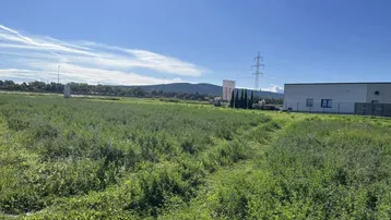 Weitläufiges grünes Feld mit einem modernen Industriegebäude im Hintergrund unter blauem Himmel und Bergen.