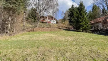 Grüne Hanglage mit Bäumen und Häusern im Hintergrund unter blauem Himmel.