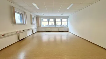 Leerer Büroraum mit großen Fenstern, Linoleumboden und Deckenbeleuchtung, bereit zur Nutzung.