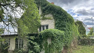 Altes Haus mit stark bewachsener Fassade und verwildertem Garten unter bewölktem Himmel.