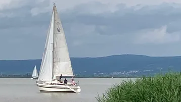 Segelboot auf einem ruhigen See mit grünen Schilf und Bergen im Hintergrund.