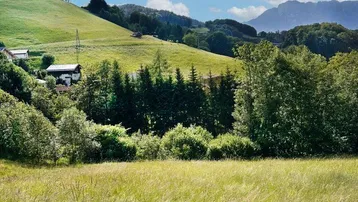 Weitläufige grüne Landschaft mit Wiesen, bewaldeten Hügeln und Bergen im Hintergrund unter blauem Himmel.