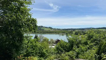 Malerischer Ausblick auf den See und die umliegende grüne Hügellandschaft, umrahmt von Bäumen.