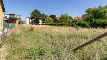 Unbebautes Grundstück mit hohem Gras und umliegenden Wohnhäusern unter blauem Himmel.
