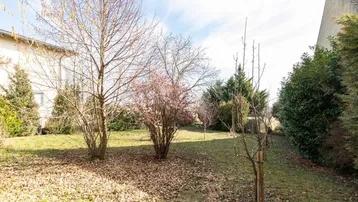 Gepflegter Gartenbereich mit verschiedenen Bäumen, Rasenfläche und einem blühenden Strauch im Frühling.