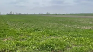 Weite grüne Felder unter bewölktem Himmel, die die ländliche Umgebung der Immobilie zeigen.