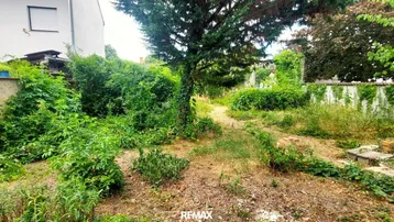 Verwilderter Gartenbereich mit altem Baumbestand und viel Grün hinter dem Haus.