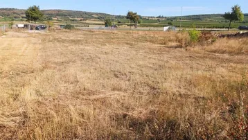 Weitläufiges Grundstück mit trockener Wiese, umgeben von grünen Hügeln und Weinbergen in der Ferne.