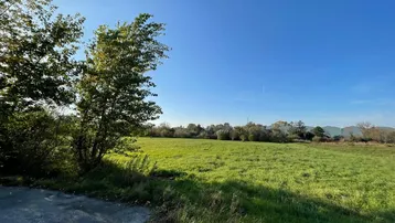 Weite grüne Wiese unter blauem Himmel mit Bäumen am Horizont, ideal für Naturliebhaber.