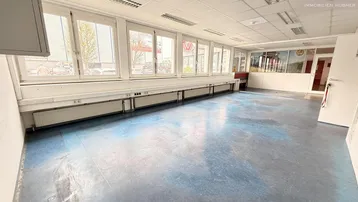 Geräumiges Büro mit vielen Fenstern, die für viel Tageslicht sorgen, und einem strapazierfähigen Bodenbelag.