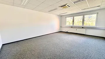 Geräumiger Büroraum mit Teppichboden, Rasterdecke und großen Fenstern, die viel Tageslicht hereinlassen.