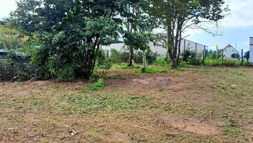 Freies Grundstück mit Bäumen und Grasfläche, ideal für die zukünftige Bebauung oder Gartengestaltung.