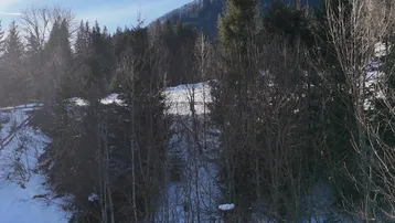 Winterliche Berglandschaft mit verschneiten Bäumen und einem klaren blauen Himmel.