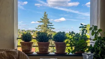 Gemütlicher Balkon mit Pflanzen und weitem Blick ins Grüne unter blauem Himmel.