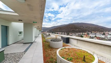 Dachterrasse mit bepflanzten Kübeln und weitem Blick über die Stadt und Hügel.
