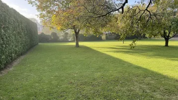 Gepflegter Rasenbereich mit hohen Hecken und Bäumen unter strahlendem Sonnenschein.