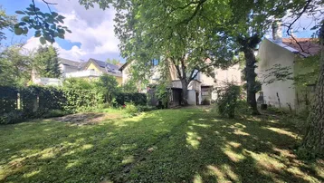 Großer, grüner Gartenbereich mit altem Baumbestand und viel Potenzial für zukünftige Gestaltung.