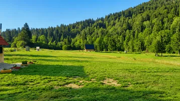 Weitläufige grüne Wiese mit dichtem Wald im Hintergrund und einer kleinen Holzhütte in der Ferne unter blauem Himmel.