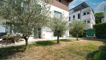 Gepflegter Gartenbereich mit Olivenbäumen und Sitzgelegenheiten vor dem Gebäude.