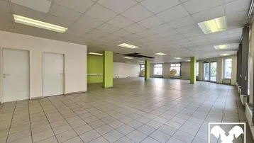 Großer, leerer Gewerberaum mit Fliesenboden, abgehängter Decke und großen Fenstern, ideal für Büro oder Einzelhandel.