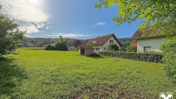 Große grüne Wiese mit einem kleinen Holzschuppen und Häusern im Hintergrund unter blauem Himmel.