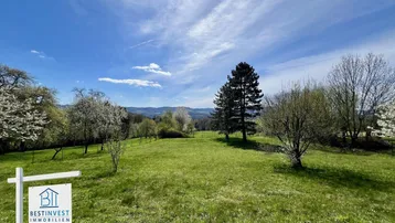 Weitläufige grüne Landschaft mit Bäumen und Fernblick unter blauem Himmel.