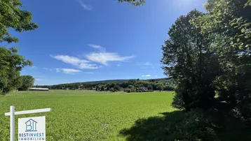 Weitläufiges grünes Feld unter strahlend blauem Himmel mit Fernblick auf bewaldete Hügel.