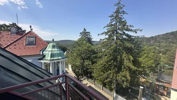 Panoramablick von einem Balkon auf die umliegende grüne Landschaft und benachbarte Häuser.