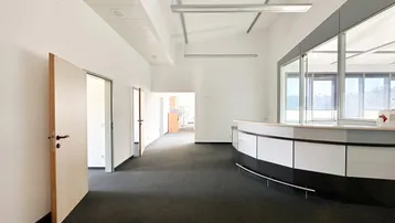 Geräumiger Bürobereich mit dunklem Teppichboden, einer modernen Empfangstheke und viel Tageslicht.