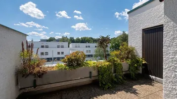 Große Dachterrasse mit Pflanzenkübeln und weitem Blick auf die Umgebung.