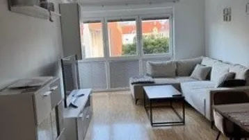 Helles Wohnzimmer mit beigem Sofa, Holzboden und Blick ins Grüne durch die Fenster.