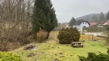Gepflegter Gartenbereich mit Rasenfläche, hohen Bäumen und Sitzgelegenheiten im Freien.