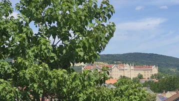 Panoramablick auf ein historisches Gebäude in der Ferne, umgeben von grünen Bäumen.