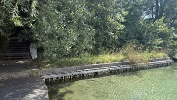 Uferbereich mit Holzsteg und Treppe, die in das dichte Grün führt, am klaren, flachen See.