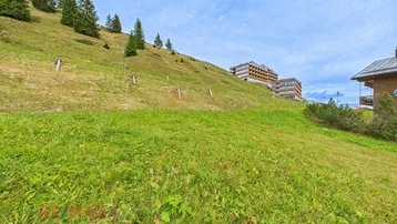 Grüne Hanglage mit Bäumen und Gebäuden im Hintergrund, ideal für Naturliebhaber.