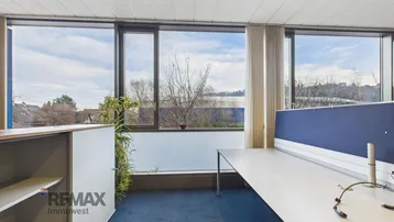 Modernes Büro mit großen Fenstern, blauem Teppichboden und Blick ins Grüne.