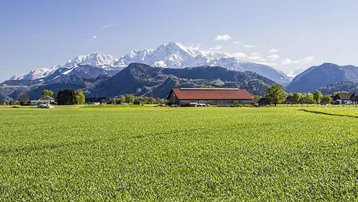 Weitläufiges grünes Feld mit Blick auf schneebedeckte Berge unter blauem Himmel.