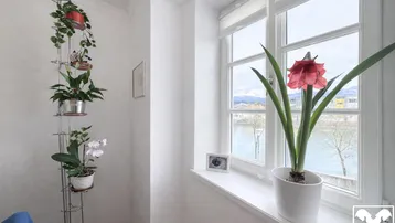 Heller Flur mit Fenster und Pflanzen, bietet einen weiten Blick auf Wasser und Berge.