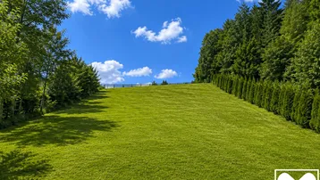 Große, gepflegte Rasenfläche mit Bäumen und einer dichten Hecke unter strahlend blauem Himmel, ideal für Erholung im Freien.