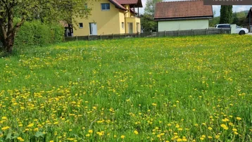 Großes Grundstück mit blühender Wiese und Wohnhäusern im Hintergrund, ideal für Naturliebhaber.
