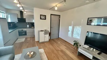 Moderner offener Wohnbereich mit Holzboden und integrierter Küche, ideal für geselliges Beisammensein.