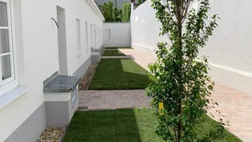 Schmaler Gartenbereich zwischen Gebäuden mit jungem Baum, Rasenflächen und gepflastertem Weg.