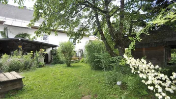 Gepflegter Gartenbereich mit Rasenfläche, Bäumen und Blick auf das Wohnhaus.