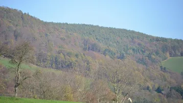 Weitläufige Landschaft mit bewaldeten Hügeln und grünen Wiesen unter klarem blauem Himmel.
