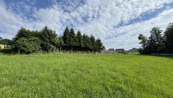 Weitläufige grüne Wiese mit Bäumen und Häusern im Hintergrund unter blauem Himmel.