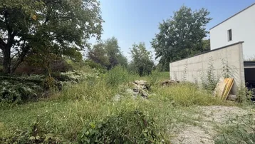 Überwuchertes Grundstück mit angrenzendem Neubau und Bäumen im Hintergrund unter blauem Himmel.
