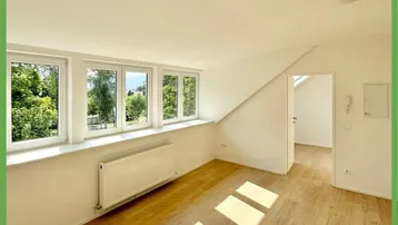 Heller Raum mit Holzfußboden, vielen Fenstern und Blick ins Grüne, ideal als Wohn- oder Schlafzimmer.
