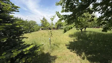 Weitläufige Grünfläche mit Bäumen und Blick auf die umliegende Landschaft unter blauem Himmel.